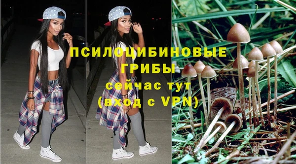 гашик Фурманов